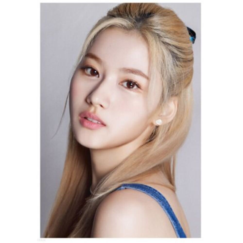 Dicon D'festa Twice (Sana)